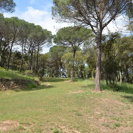 Moli D'en Tarres Santa Cristina d'Aro